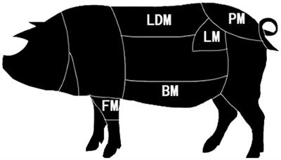 Integrative analysis of proteomics and lipidomic profiles reveal the fat deposition and meat quality in Duroc × Guangdong small spotted pig
